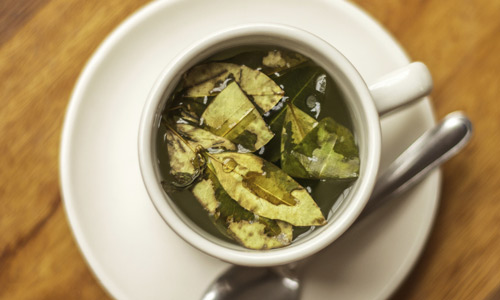 Cup of Coca Tea