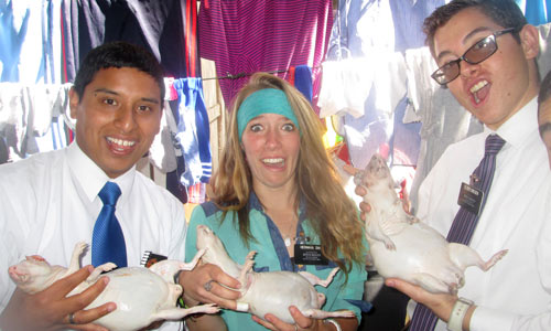 Missionaries choosing their guinnea pig for dinner