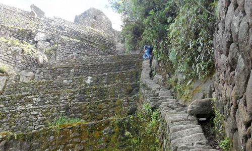 Steep narrow stairs at waynapicchu